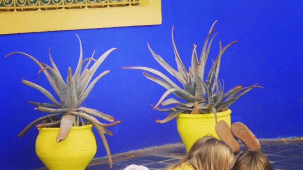 children colouring in against a beautiful blue wall in Yves St Laurent's garden, Morocco